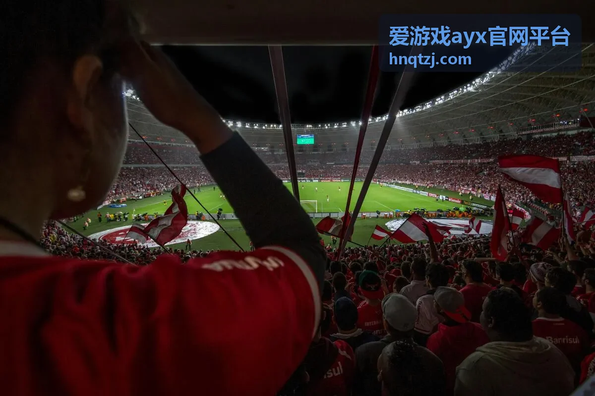 爱游戏ayx官网平台账号安全设置分区入口